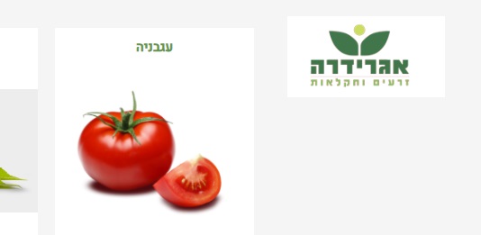 בניית אתרים תיק עבודות